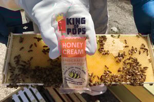 ATL Honey Cream Pop - Honey Next Door
