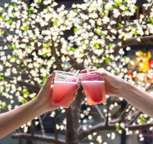Cheers!-1